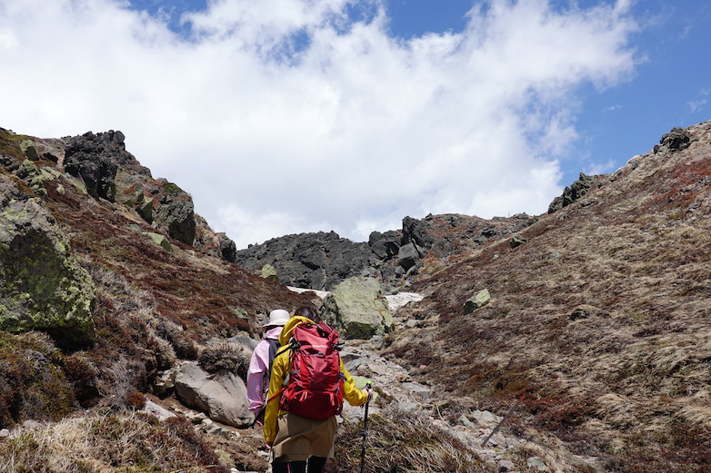 長期的な見通しはどうですか?